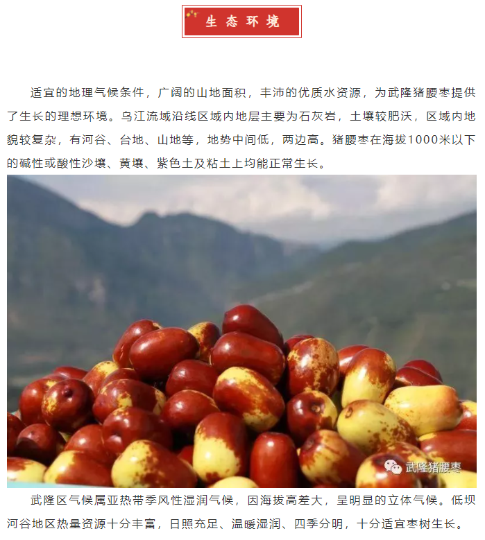武隆猪腰枣_农特产品_重庆市地方志办公室